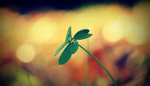 尼斯客场不敌马赛，遭遇失利