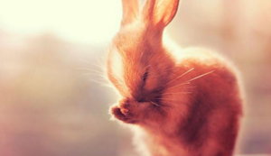 勒沃库森队改变进攻战术,助球队逆袭成功