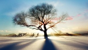 北马其顿队不敌波兰，卫冕冠军发威