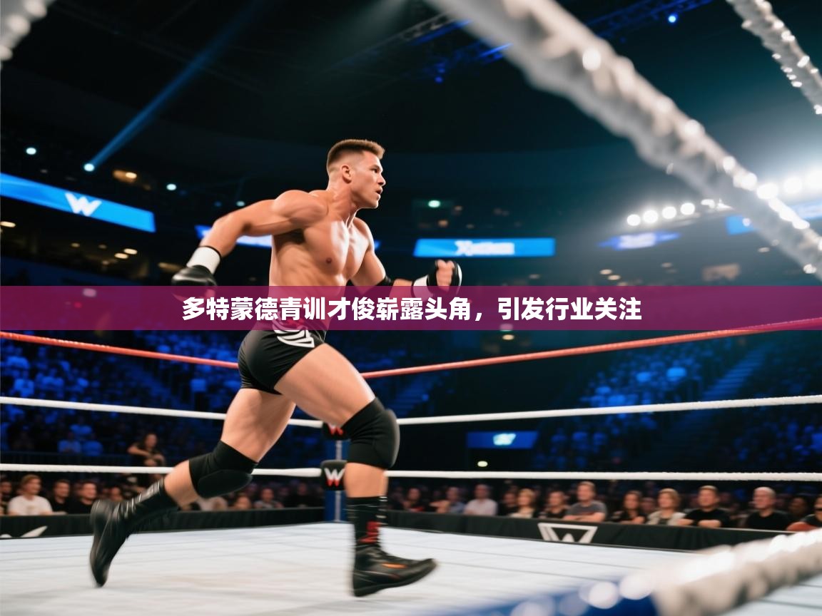 多特蒙德青训才俊崭露头角，引发行业关注  第2张