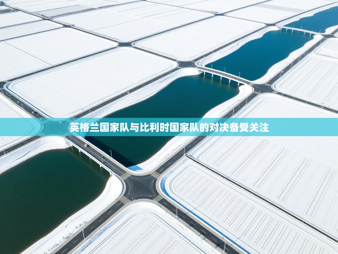 英格兰国家队与比利时国家队的对决备受关注  第2张