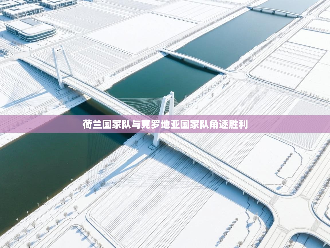 荷兰国家队与克罗地亚国家队角逐胜利  第1张