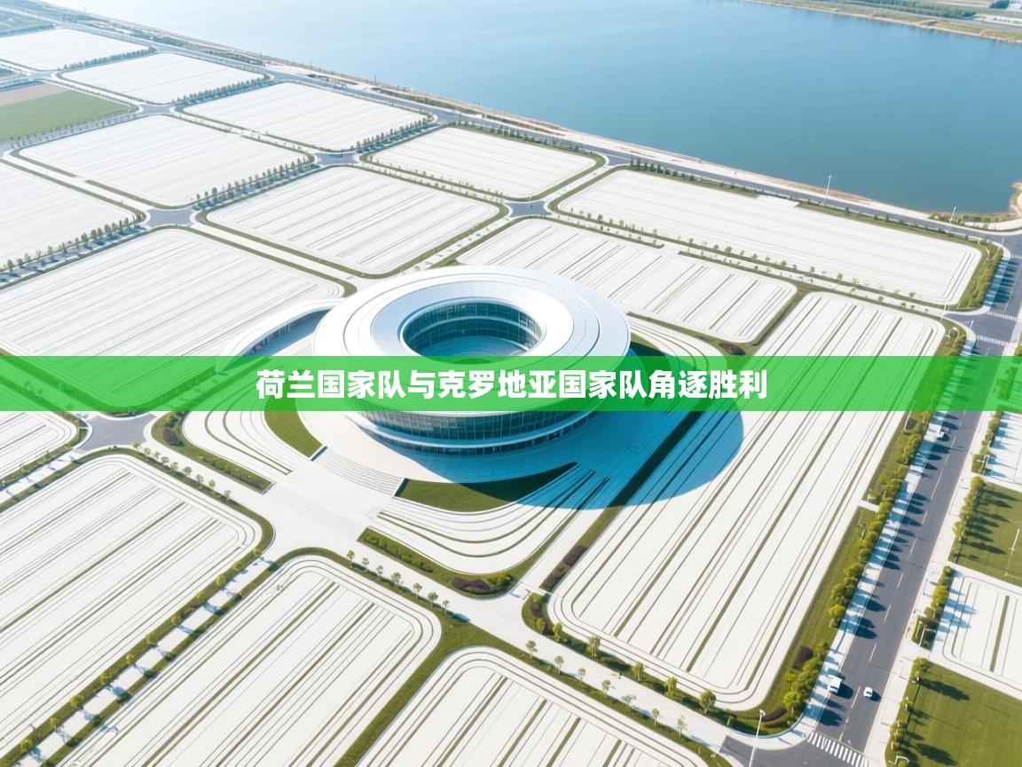 荷兰国家队与克罗地亚国家队角逐胜利  第2张