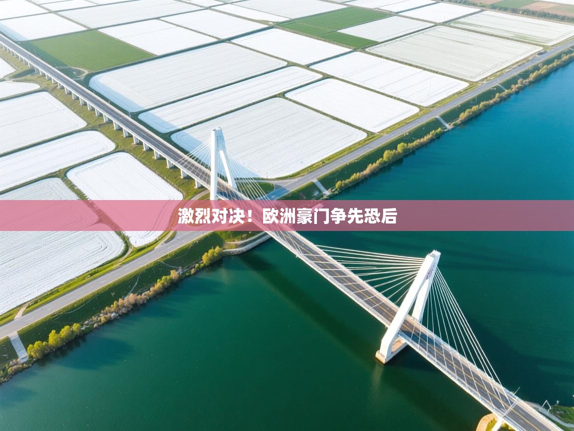 激烈对决!欧洲豪门争先恐后 第1张