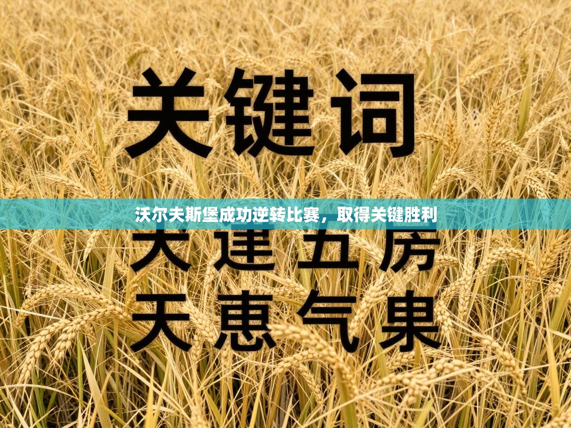 沃尔夫斯堡成功逆转比赛,取得关键胜利 第2张