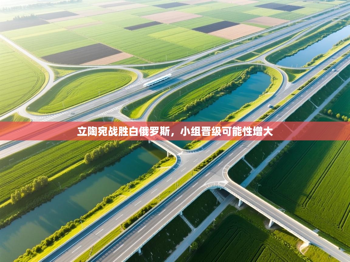 立陶宛战胜白俄罗斯，小组晋级可能性增大  第1张