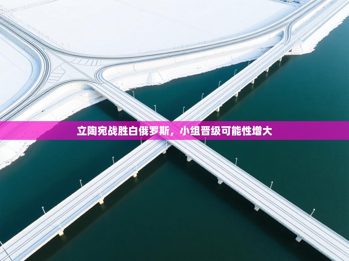 立陶宛战胜白俄罗斯，小组晋级可能性增大  第2张